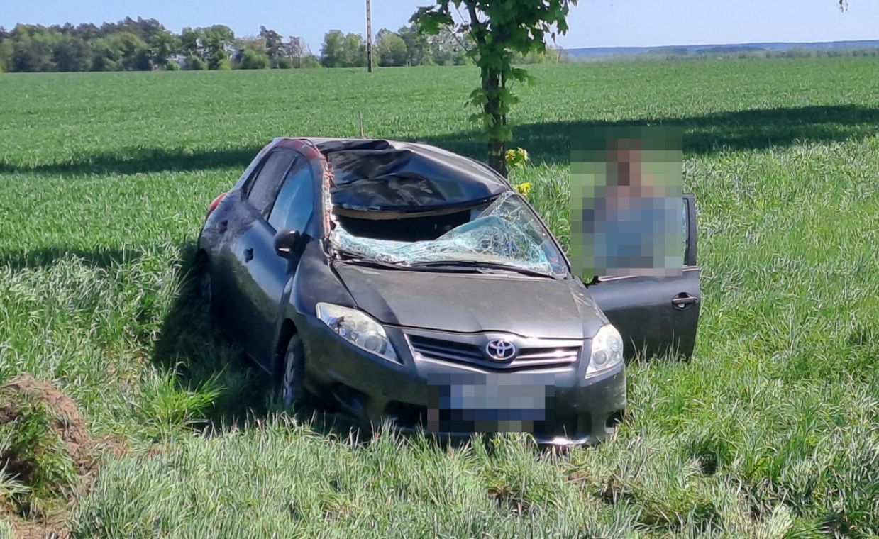Jeleń wskoczył na auto. Kierowca nie miał szans