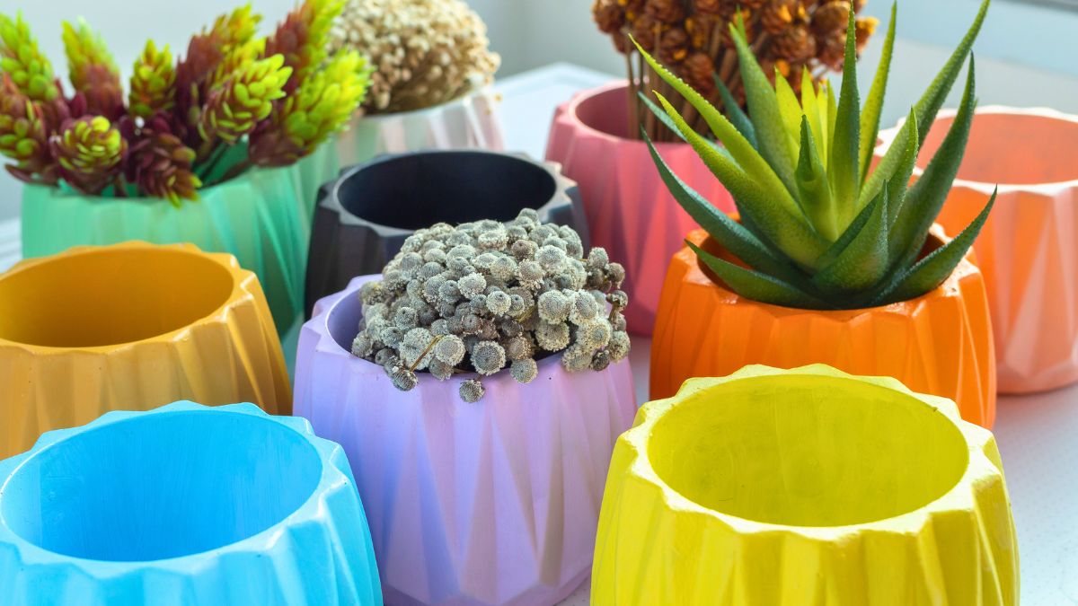 Osłonki na doniczki mogą wyrządzić więcej szkody niż pożytku 