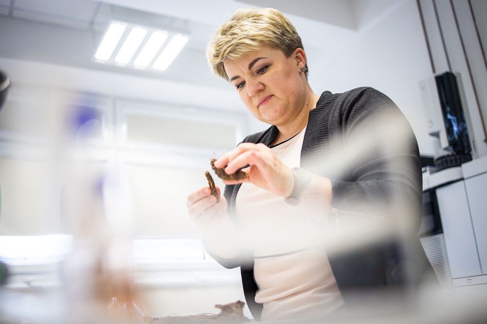 Dr Ewa Zapora