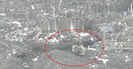 Bestialski atak Rosjan na ukraińskich żołnierzy. Strzelali do bezbronnych ludzi