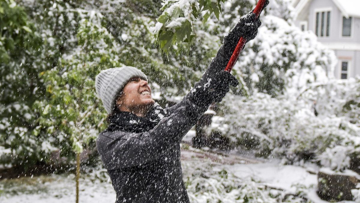 Zdjęcie wykonane 9 września w stanie Colorado w USA