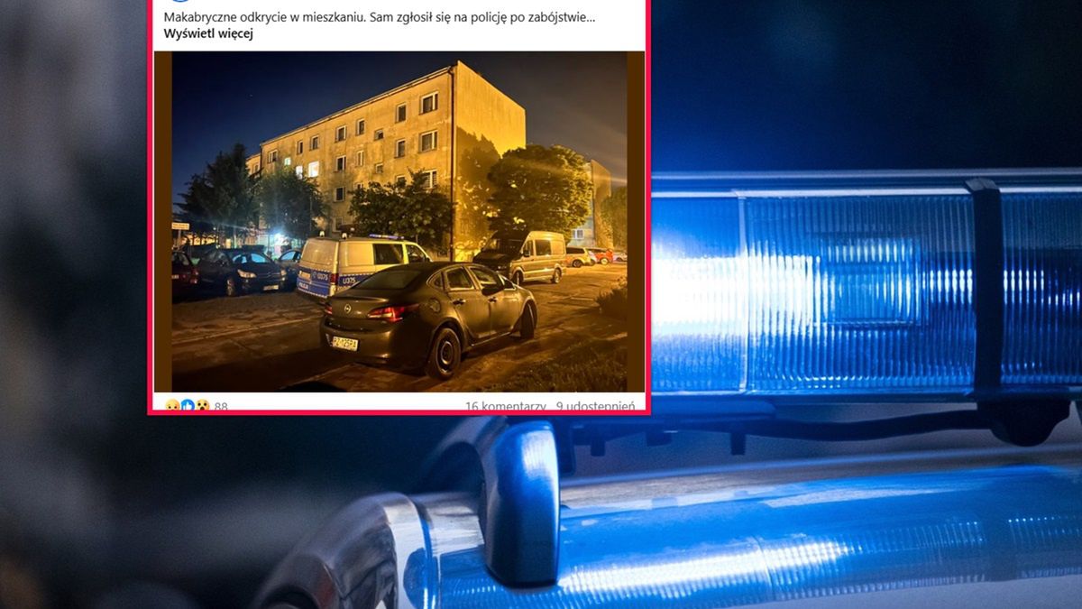 Przy ul. Sikorskiego w Gnieźnie doszło do zabójstwa.