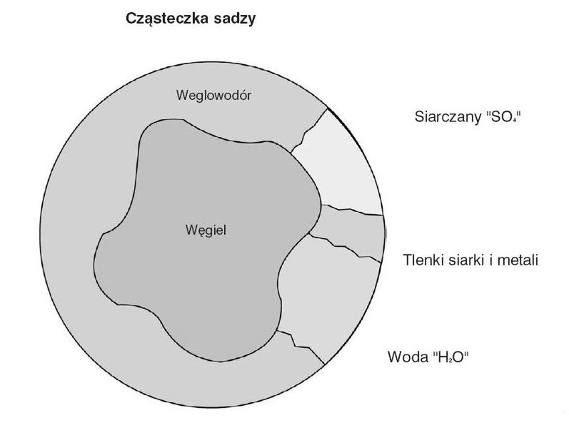 Zdjęcie ilustracyjne do artykułu