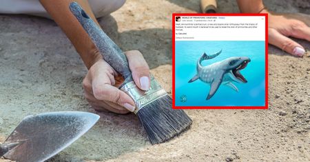 Naukowcy odkryli czaszkę pradawnego gada. Rozwiązali wieloletnią zagadkę