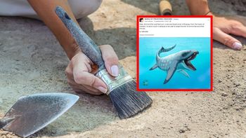 Naukowcy odkryli czaszkę pradawnego gada. Rozwiązali wieloletnią zagadkę