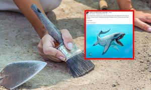 Naukowcy odkryli czaszkę pradawnego gada. Rozwiązali wieloletnią zagadkę