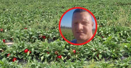 "Ostatnia nadzieja". Rolnik zrozpaczony. Chce tylko po 2 zł