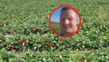 "Ostatnia nadzieja". Rolnik zrozpaczony. Chce tylko po 2 zł
