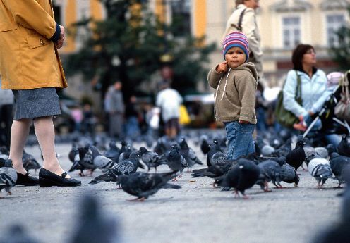 Konkurs w ?Rytmie wielkiego miasta? 1