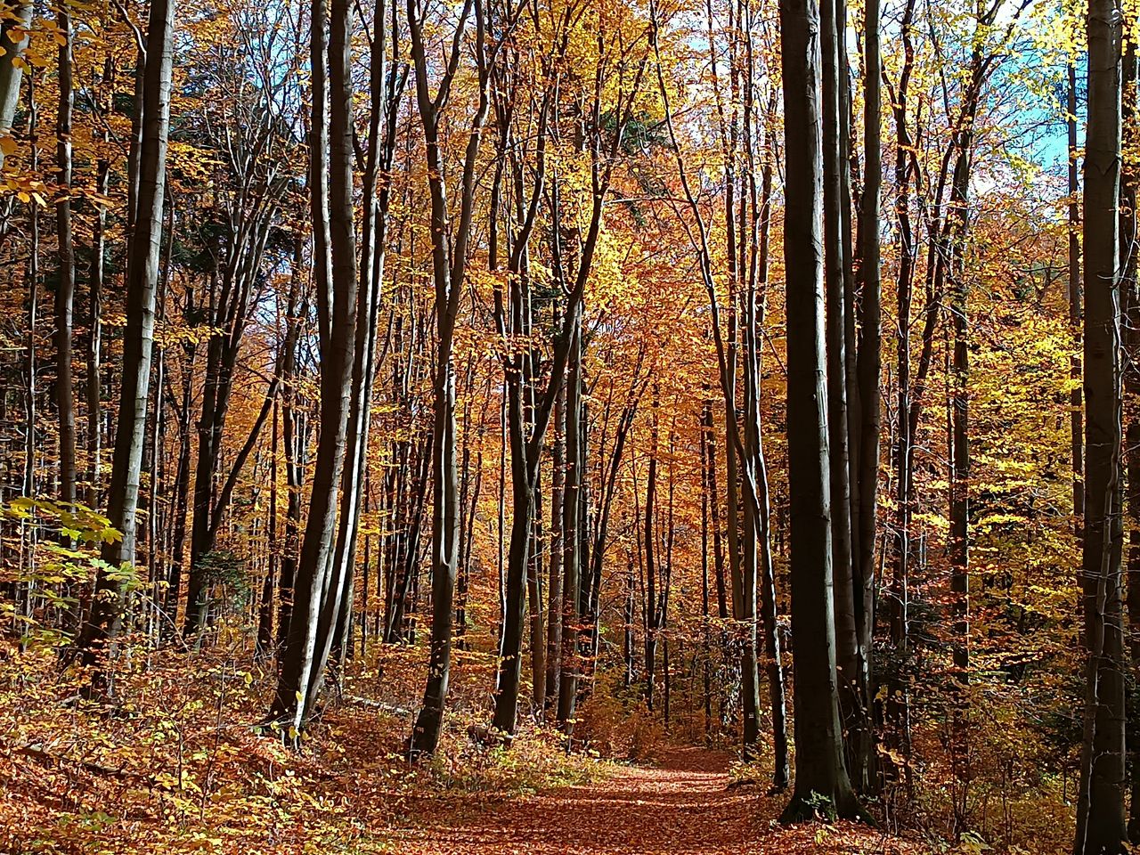 Ojcowski Park Narodowy