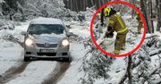 "Konary lecą nam na głowę". Trudna sytuacja w nadmorskim mieście