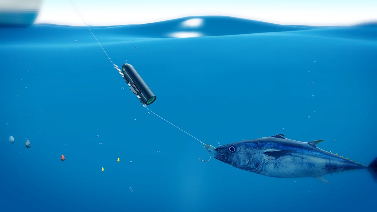 Wędkarstwo też może być smart. Podwodna kamera GoFish Cam 1