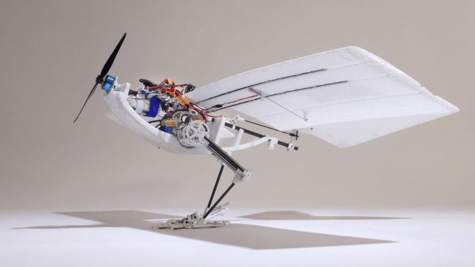 RAVEN (Robotic Avian-inspired Vehicle for multiple ENvironments)