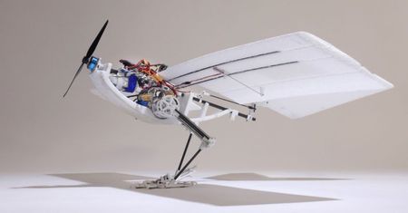 Robot-kruk chodzi i lata jak ptak. Naukowcy stworzyli nowy prototyp drona