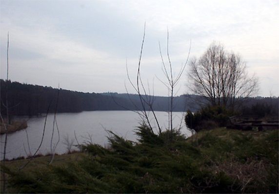 Obraz