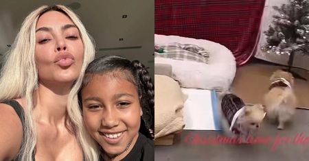 Kim Kardashian w ogniu krytyki. Zorganizowała legowisko dla psów... W GARAŻU. Film zniknął już z sieci (WIDEO)