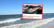 Bałtyk dusi się bez tlenu. Przerażający widok na niemieckich plażach