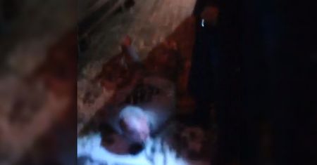 Brutalna interwencja policji? Mężczyzna leżał skuty na parkingu przy -10 st. C