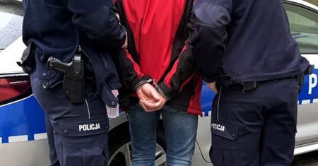 Plądrowali mieszkania w Wielkopolsce. Policjanci zatrzymali dwóch Gruzinów