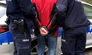 Plądrowali mieszkania w Wielkopolsce. Policjanci zatrzymali dwóch Gruzinów
