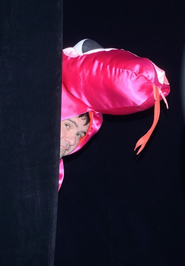 Obraz