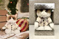 Za tę maskotkę chcą nawet 800 dolarów. Powód jest na kokardzie kota