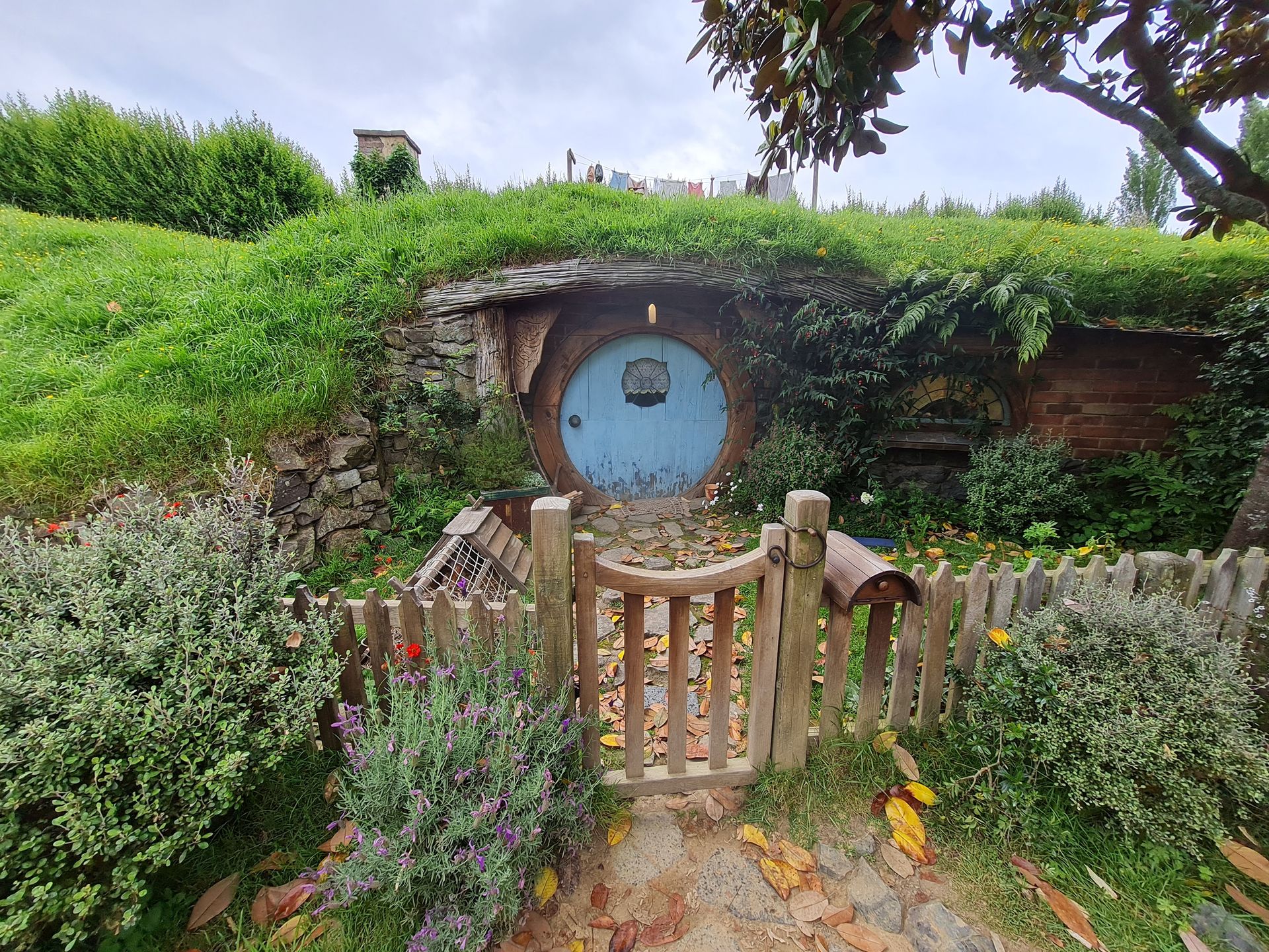 Plan filmowy Hobbiton w Nowej Zelandii. To tu kręcono m.in. sceny do "Władcy Pierścieni" i "Hobbita"