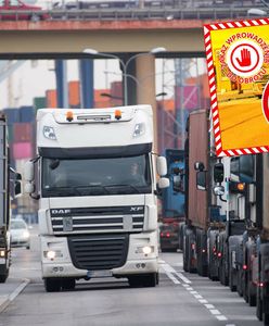 Szkodniki w nasionach z Ukrainy. Służby zatrzymały kilkadziesiąt ton