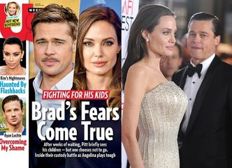"Angelina i Brad nie mają ze sobą żadnego kontaktu. Rozmawiają przez prawników"