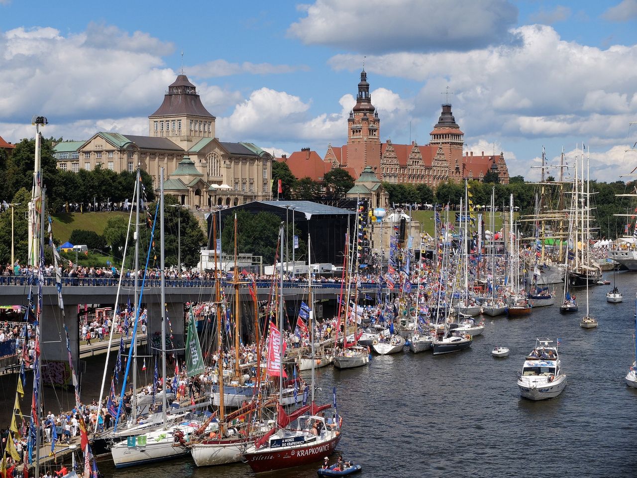 Inwazja komarów w Szczecinie. Mieszkańcy bezradni