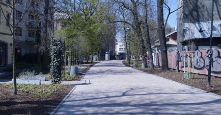 Gliwice. Aleja Przyjaźni zmieniona za pomocą ponad 4,5 tysiąca roślin
