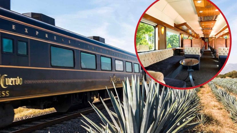 Wnętrza pociągów wyglądają bardzo elegancko