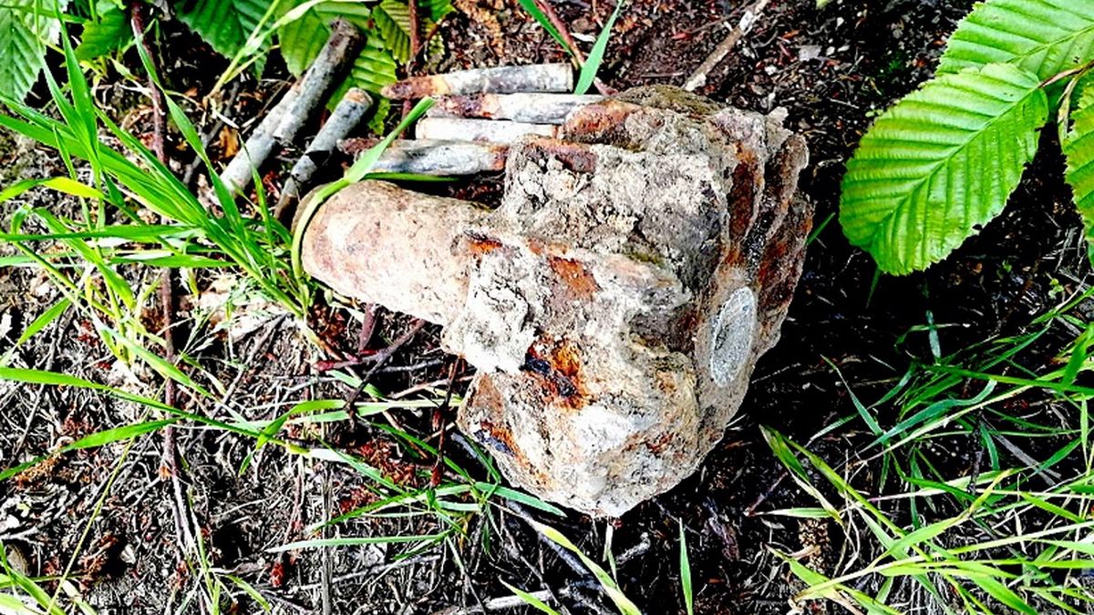 Dwa skorodowane elementy pocisku moździerzowego oraz kilkanaście sztuk amunicji karabinowej.