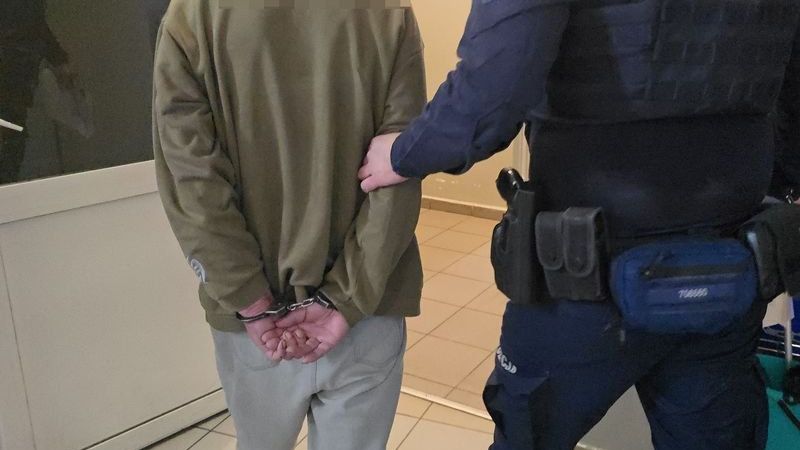 policja