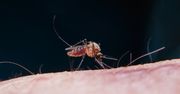 Trudna sytuacja. Wzrostowi zgonów winne zmiany klimatyczne
