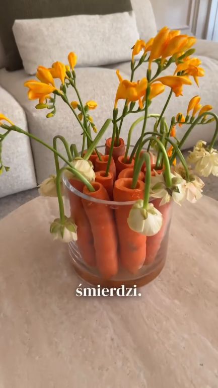 Kasia Cichopek odpływa w odmętach uniwersum DIY