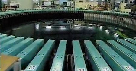 A może kąpiel w basenie z niespodzianką? [wideo]