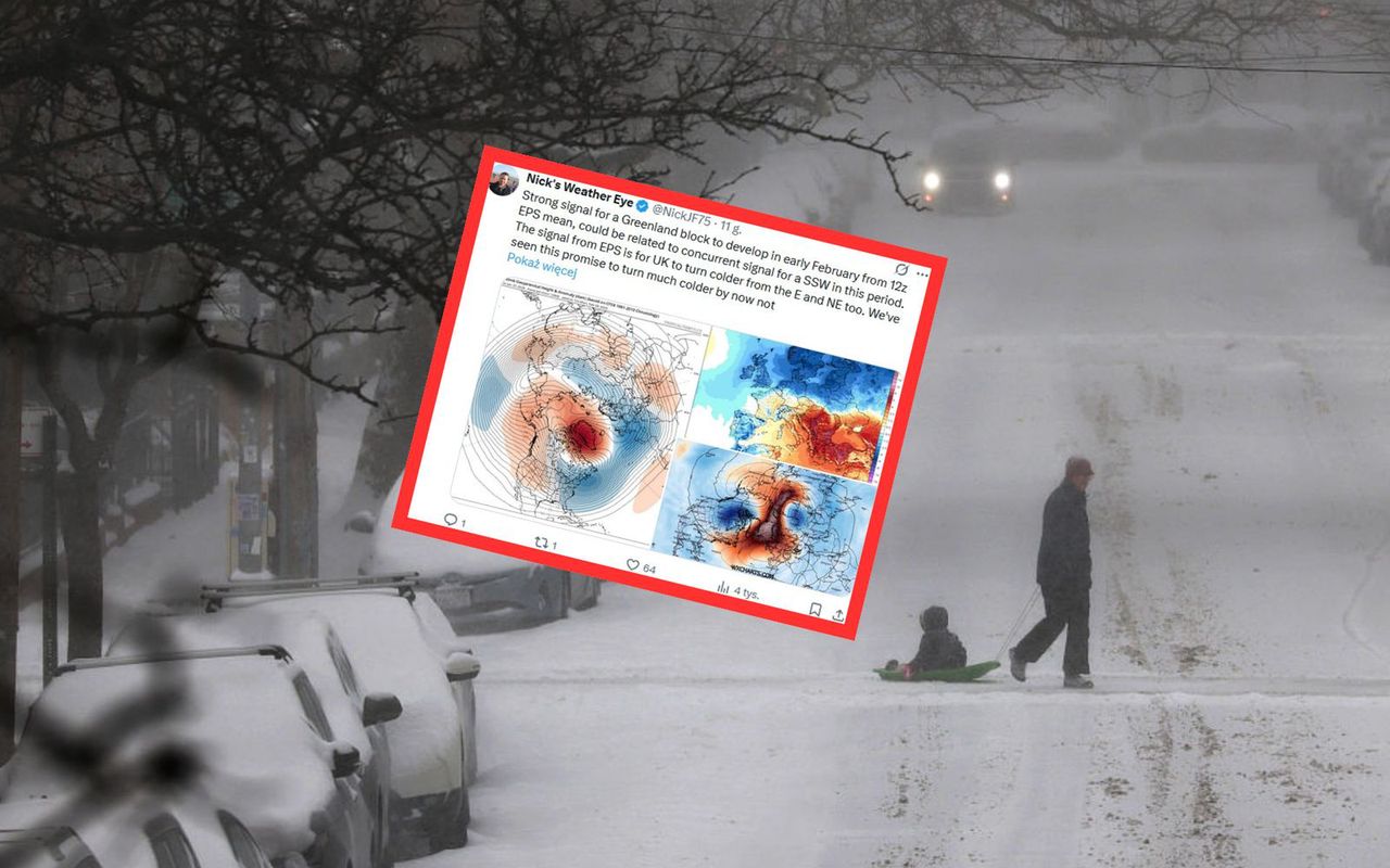 Fala mrozu w lutym? Pokazali prognozę. Wir może pęknąć