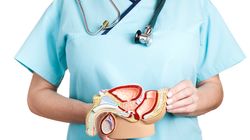 Moszna - budowa, funkcje, choroby