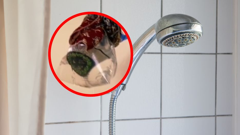 Tiktokerka zdradziła sposób na czyszczenie słuchawki prysznicowej od wewnątrz