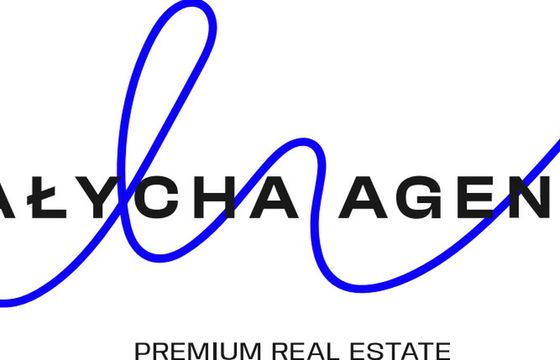 Big Picture pracuje dla Małycha Agency