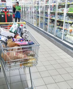 Ceny oleju o 90 proc. w górę! Na Zachodzie zaczyna go brakować