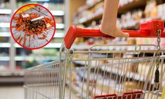 Stłukłeś słoik w popularnym dyskoncie? Sprawdź, czy naprawdę musisz za to zapłacić