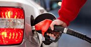 Kierowcy szturmowali stację benzynową. Zaskakująca pomyłka we Włoszech