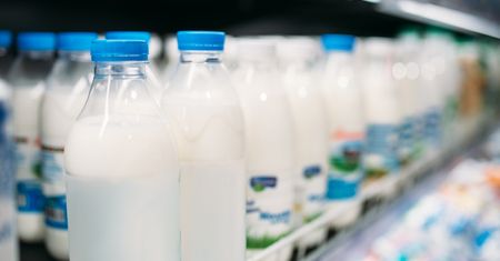 Twój portfel ci podziękuje! Porównaliśmy ceny mleka. Tutaj kupisz je najtaniej