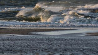 Zamknięto plaże w Ustce. Pojawiła się tam substancja ropopochodna