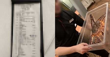 Zamówiła obiad w restauracji. Gdy zobaczyła paragon, wezwała policję