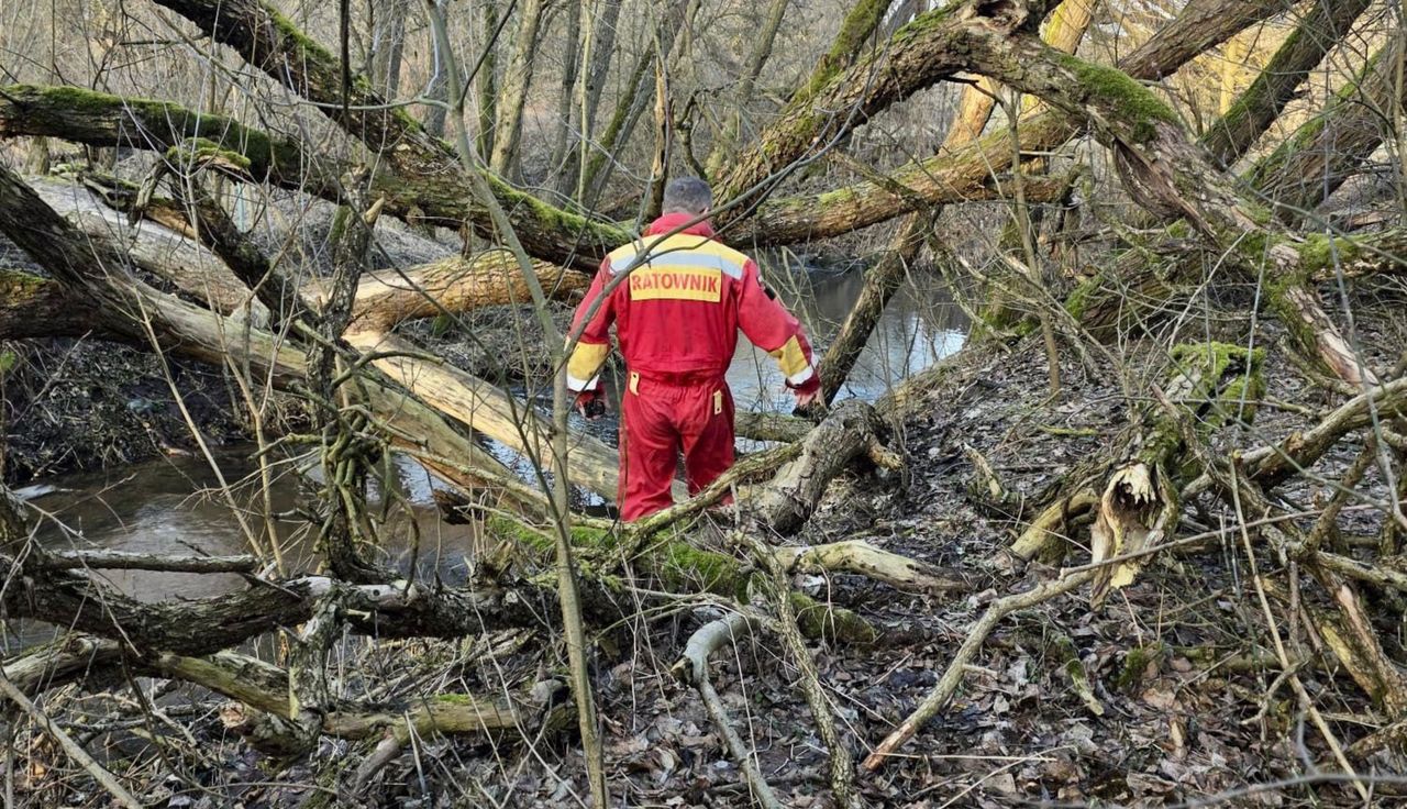 Dostali telefon. Makabryczne odkrycie. Nie było szans na ratunek