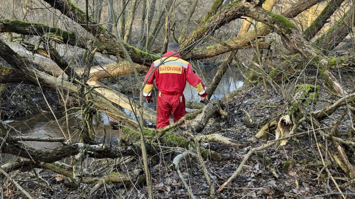 Tragedia. Zwłoki mężczyzny w rzece.