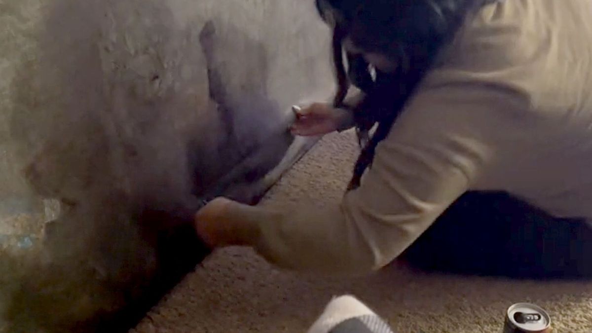 TikTokerka i jej kanapa